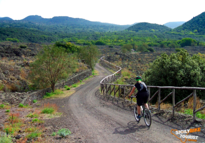 Agenzia/operatore Turistico Sicily Bike Tourist Service